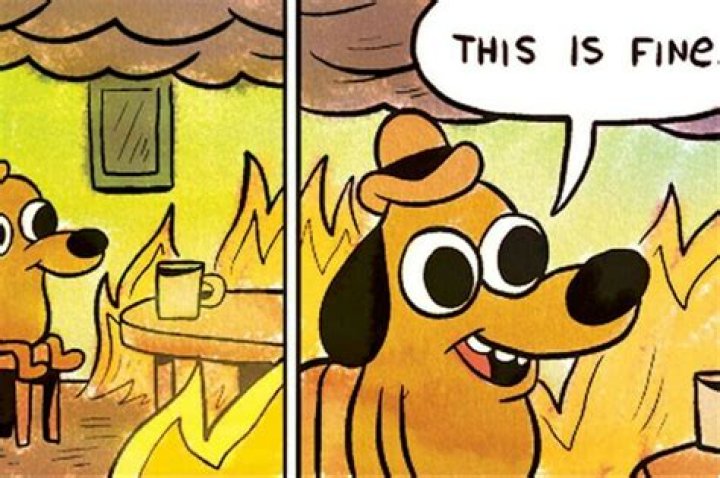 KC Green’s This is Fine meme joins Fortnite as a battle pass emote