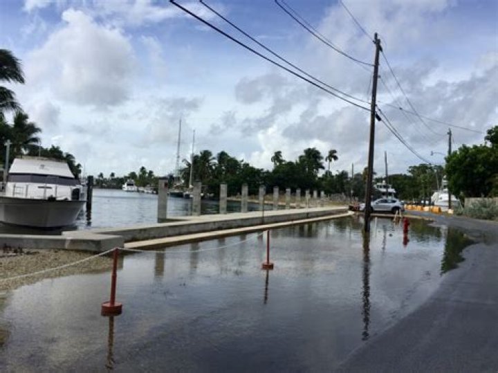 	King tide season is back in South Florida. Will we see flooding again?	