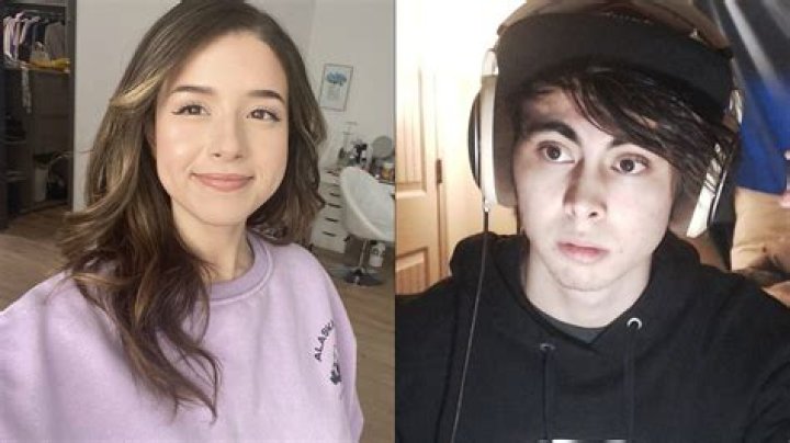 Leafy banned from YouTube after series of Pokimane videos