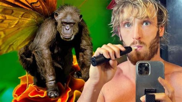 Logan Paul accused of 