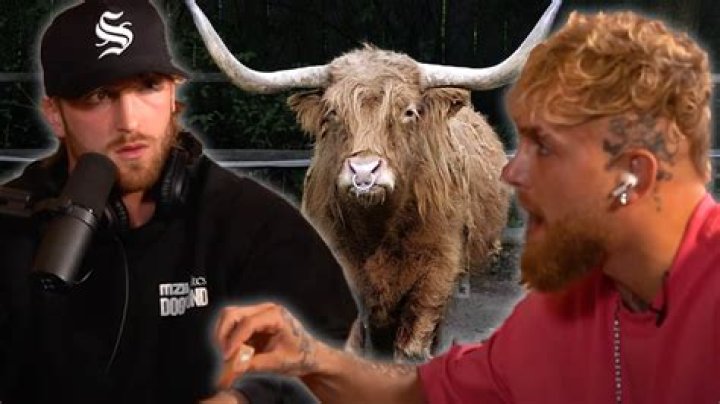 Logan Paul disgusted as brother Jake Paul eats bull testicles with The Liver King