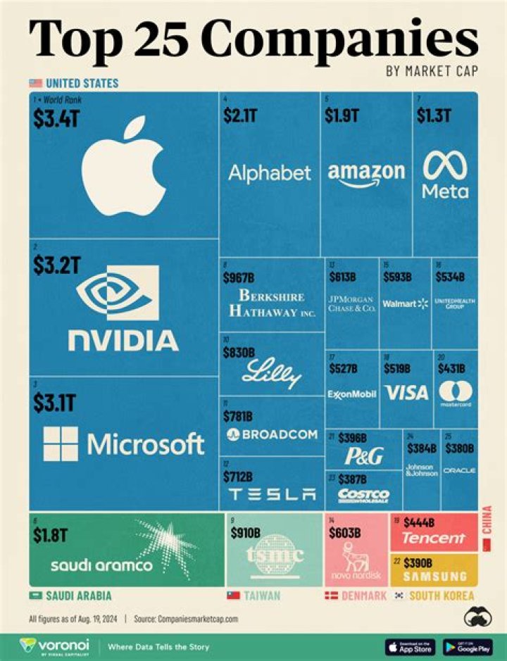Looking Into Today's Biggest Companies