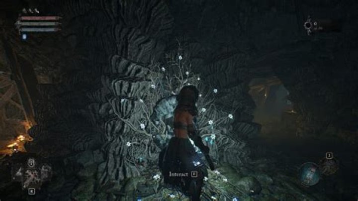 Lords of the Fallen: How to get Bowl of Revelations