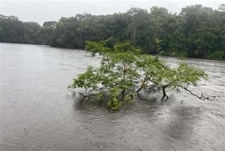 Man drowns after rescuing 2 children swimming at Pennsylvania state park