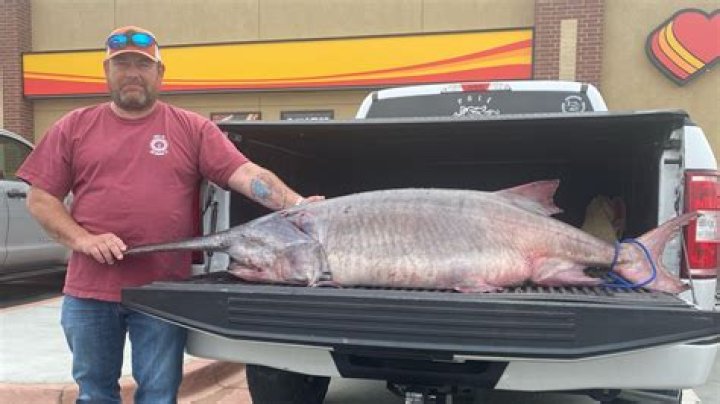 Man reels in 120-pound paddlefish in Tennessee, sets new record