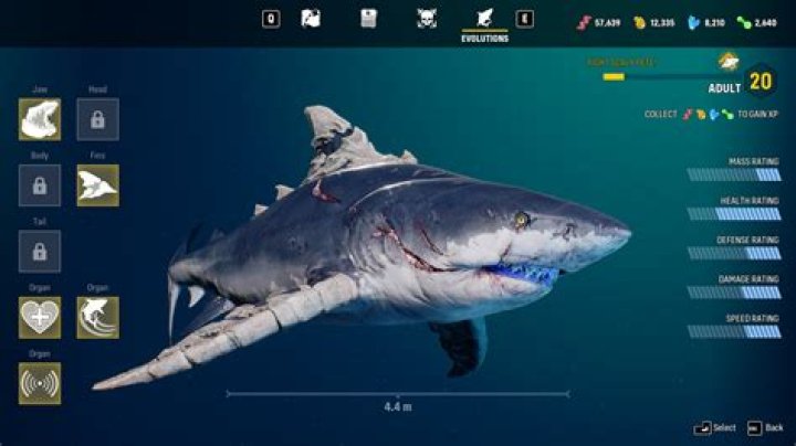 Maneater Highest Level