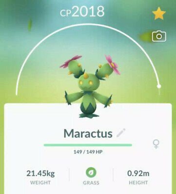 Maractus Pokémon GO: How to Catch