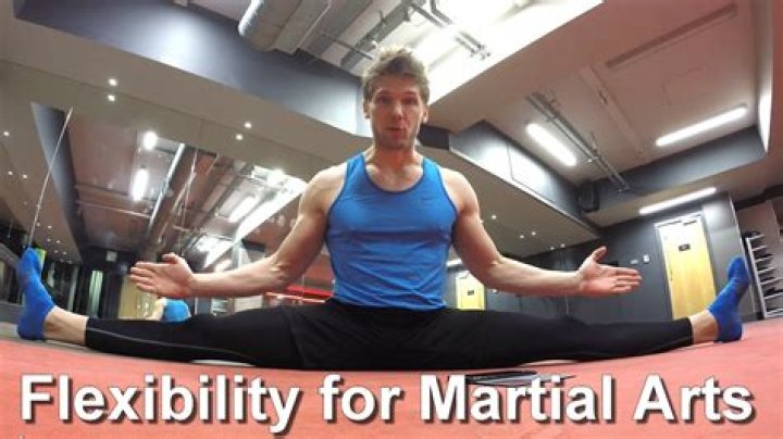 Martial Arts Stretching For Kicks | Strength & Mobility Exercises