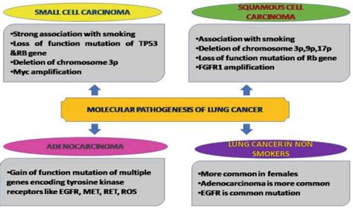 	MAS DIES OF LUNG CANCER, OTHER AILMENTS	
