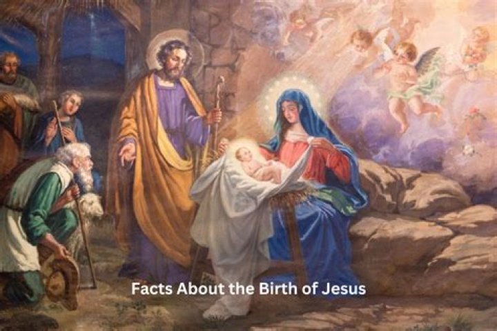 Matthew Ansara: Date Of Birth And Life Journey