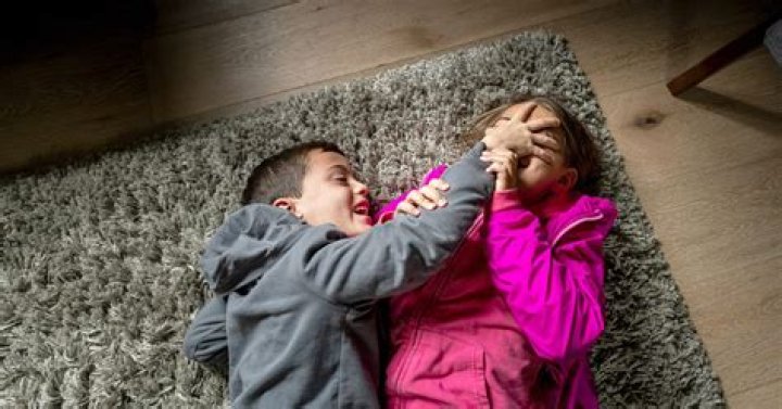 	MCCORVEYS HAVE SIBLING RIVALRY	