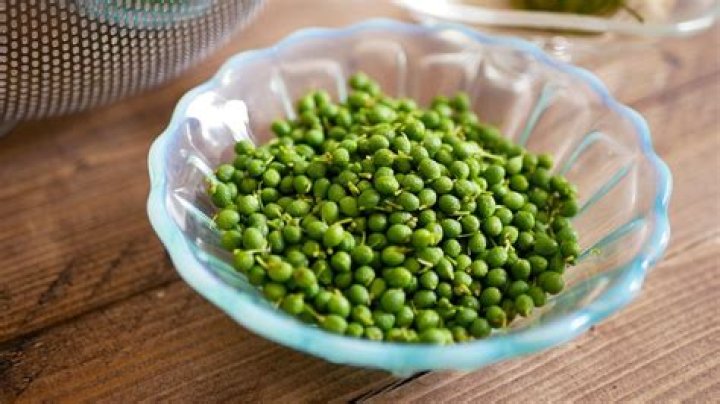 Meet sansho, Sichuan peppercorn's Japanese cousin