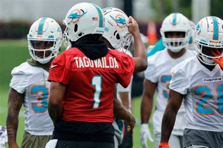 	Miami Dolphins Minicamp and (OTAs) | PHOTOS	