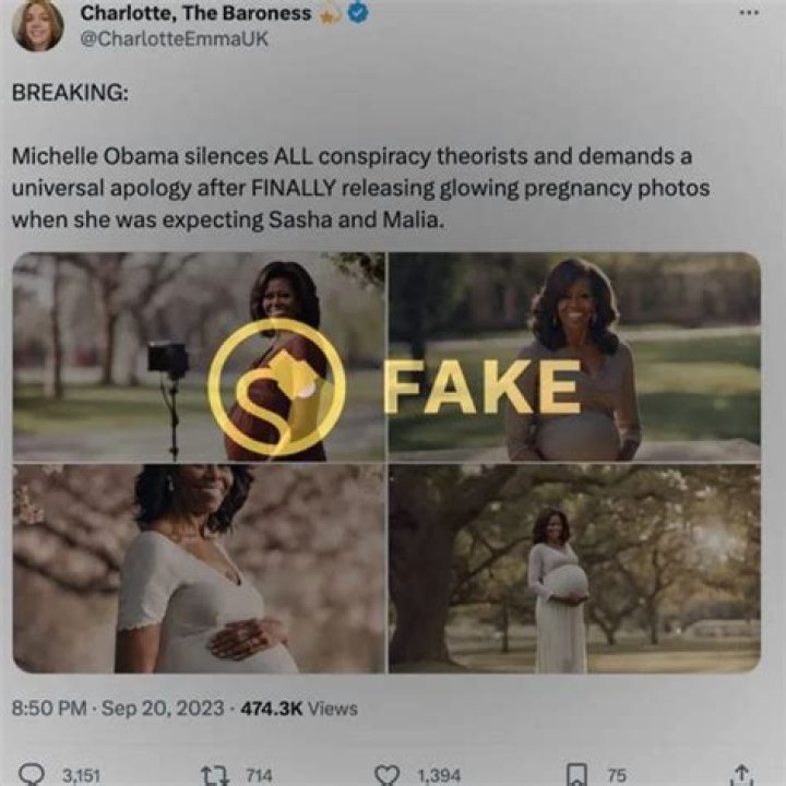 Michele Obama Pregnancy: Rumors, Reality, And Reflections