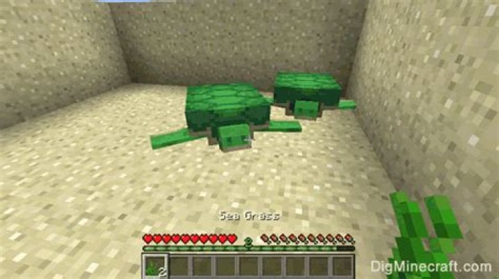 Minecraft: How To Breed Turtles