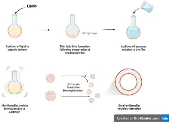 MMS Viral: Understanding The Phenomenon And Its Impact