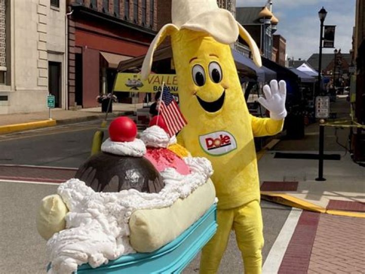 	MOVE OVER RAISINS, SAYS DOLE’S ‘BOBBY BANANA’	