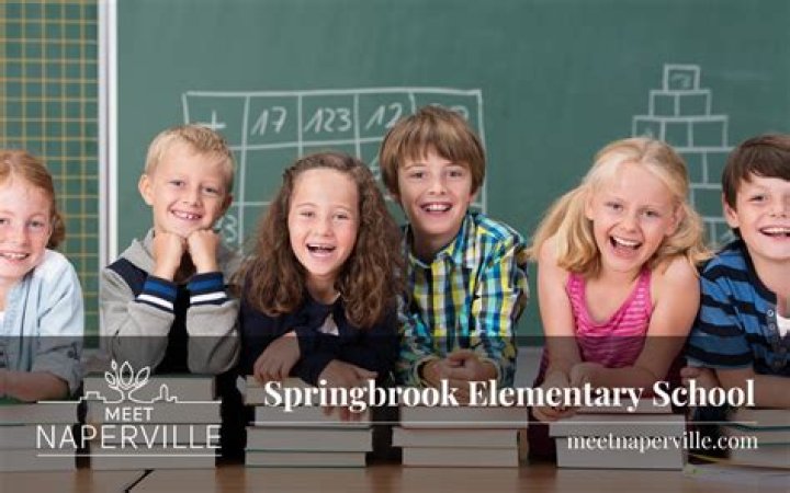 Ms. Zoellner - Teacher at Spring Brook Elementary School