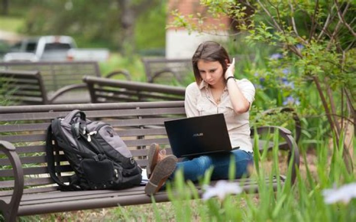 MSU launches online natural resources degree programs