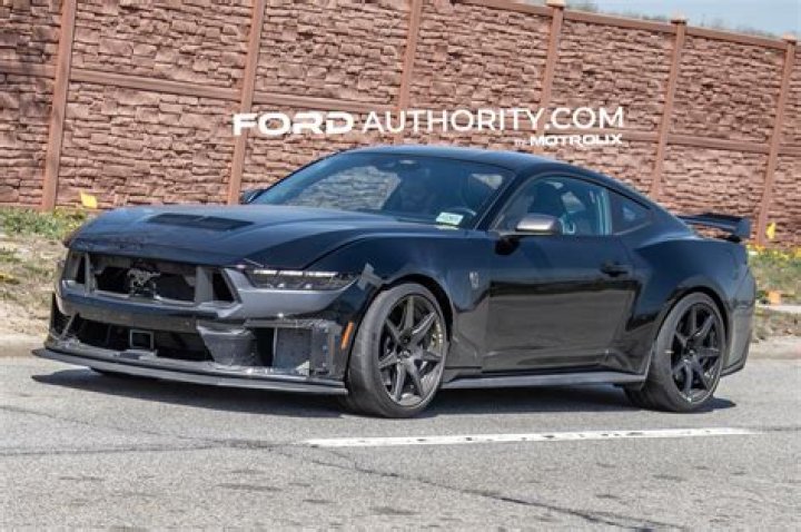 MUSTANGS FLEX 5A MUSCLE | Sports
