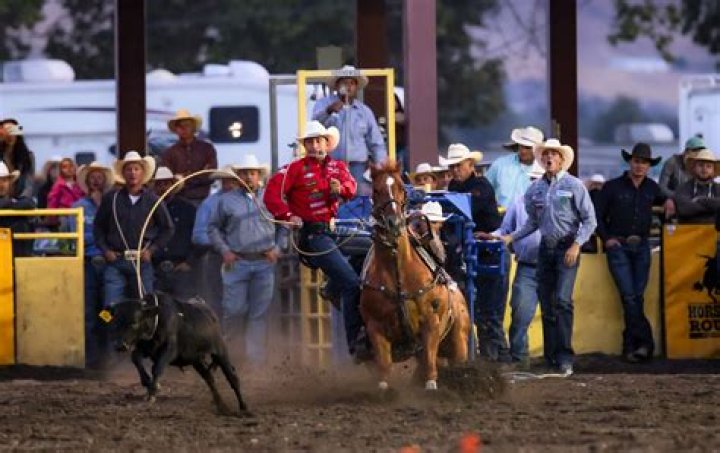 Nathan Lee Chasing His Horse Net Worth 2024