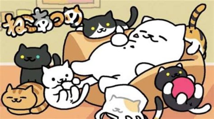 Neko Atsume: How to Get Rare Cats Like Tubbs With Goodies