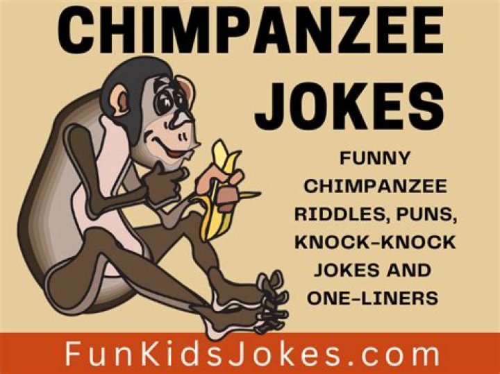 	NEUROTIC COMIC WILL DO ANYTHING BUT CHIMP JOKES	