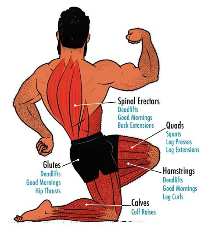 Never skip Leg Day! - Die schönsten Oberschenkel der… – 11FREUNDE