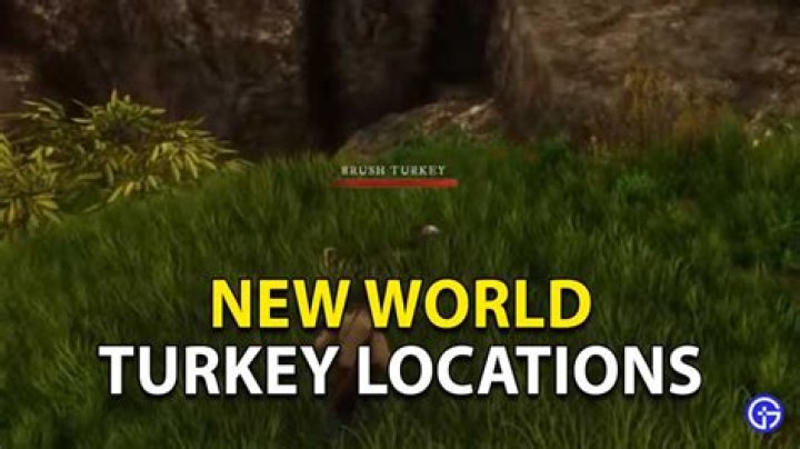 New World Turkey Locations: How to Get Feathers