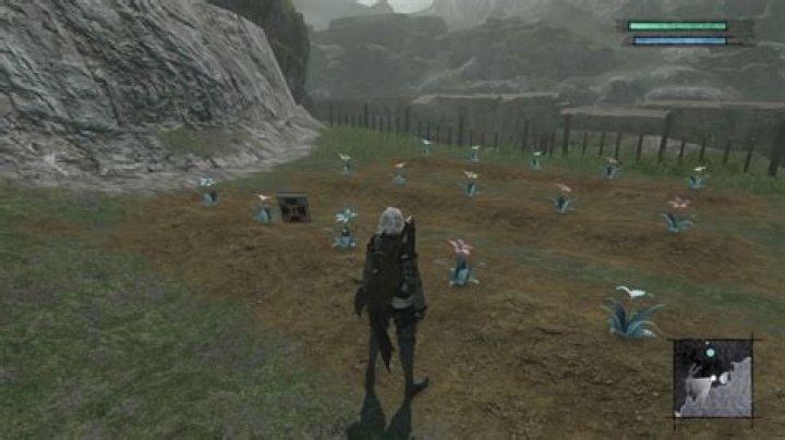 Nier Replicant Moonflower Guide: How to Get Seeds, Crossbreed & More
