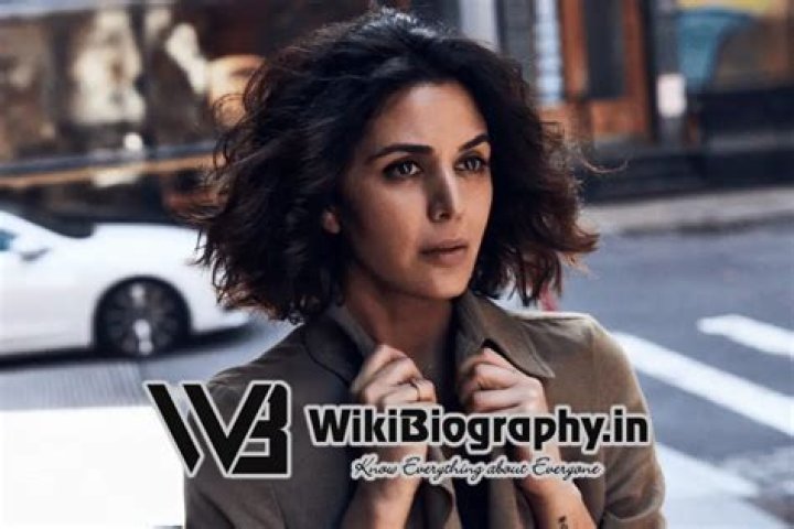 Niousha Noor: Wiki, Bio, Age, Height, Nationality, Movies, TV Series