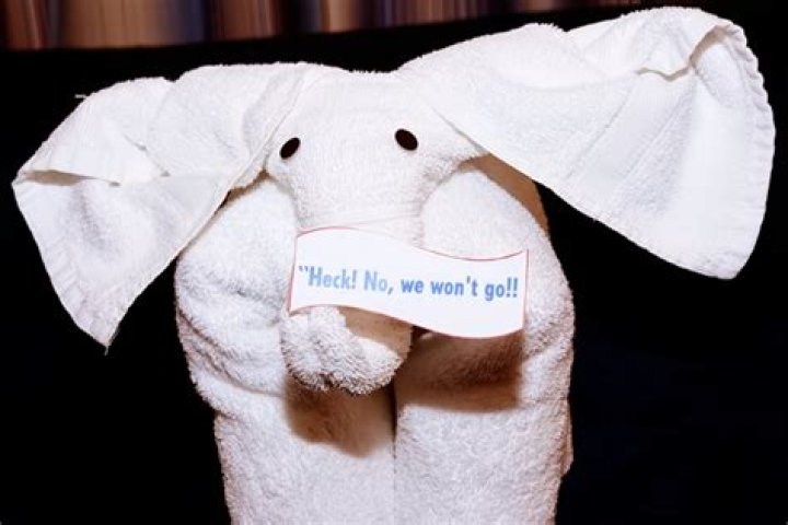 	No more towel animals on some Norwegian cruise ships	