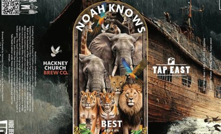 Noah Knows Best: Navigating Life With Wisdom And Insight