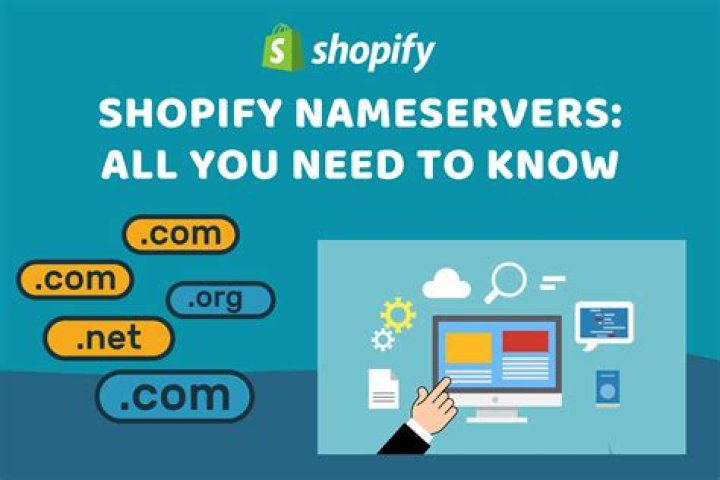 Offerings, Availability, and All You Need to Know