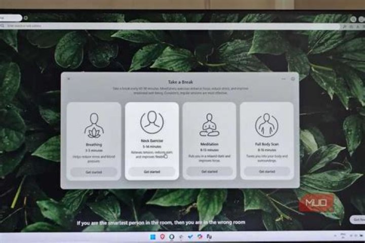 Opera Browser | MUO