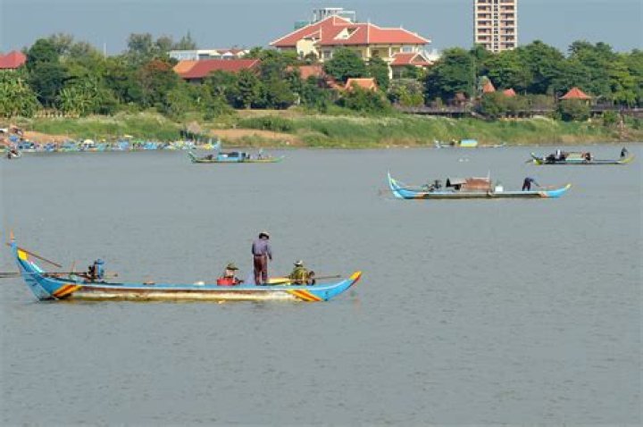 Opinion | Can Mekong river stingrays tell China’s dam narrative well?