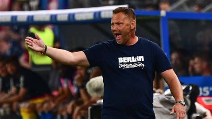 Pal Dardai schreit um Hilfe – 11FREUNDE