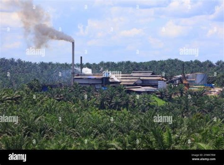 Palm oil mills built by Malaysia’s Besteel offer higher efficiency and bigger profits