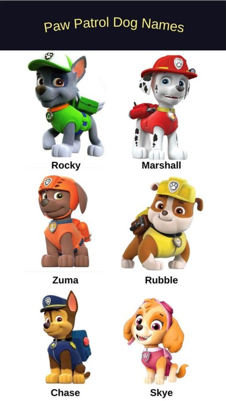 Paw Patrol Dog Names: A Comprehensive Guide For Fans