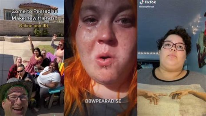 ‘Pearadise’ content house founder Stefan Wilhelmy suing former members after “uncomfortable” allegations