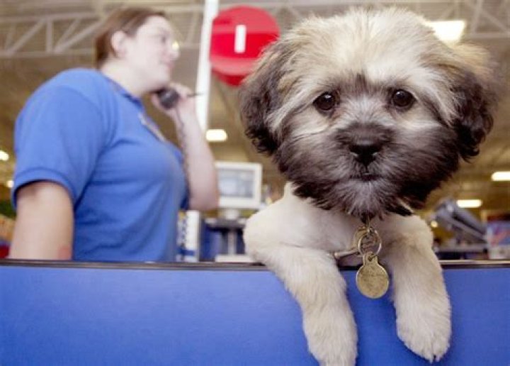 	PetSmart goes private as $8.7B sale closes	