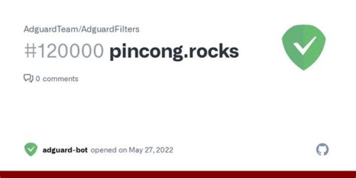 pincong.rocks login safely, analysis & comments