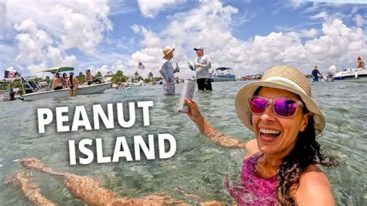 	Planning a Peanut Island party	