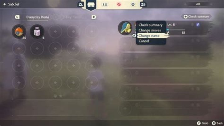 Pokemon Legends Arceus: How to Rename Pokemon