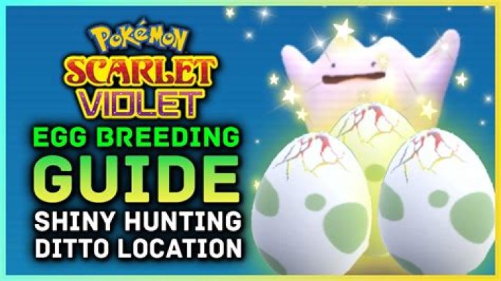 Pokémon Scarlet and Violet egg and breeding guide