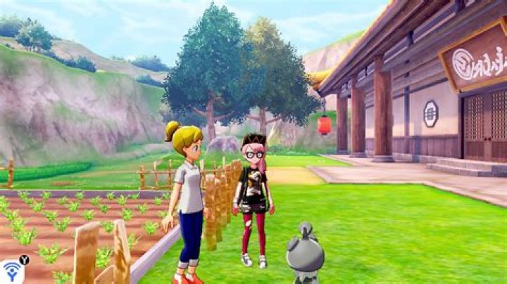 Pokemon Sword & Shield trick gives Isle of Armor players infinite money
