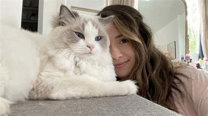 Pokimane reveals crazy cat ‘kidnapping’ story after holiday return