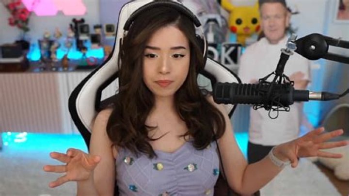 Pokimane roasts 