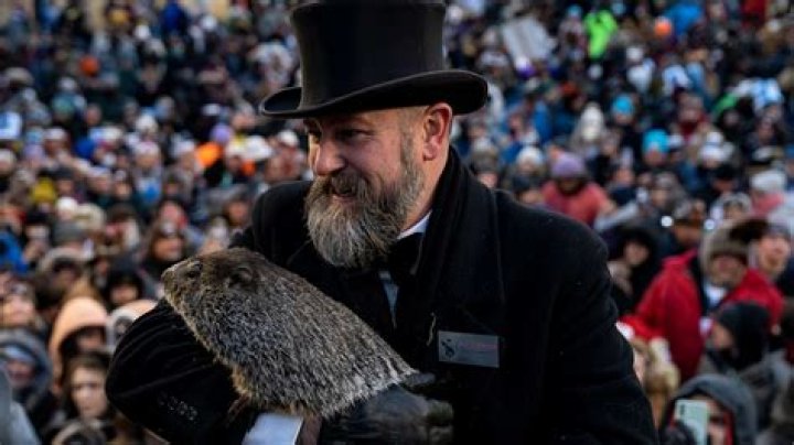 Punxsutawney Phil sees his shadow, predicts 6 more weeks of winter