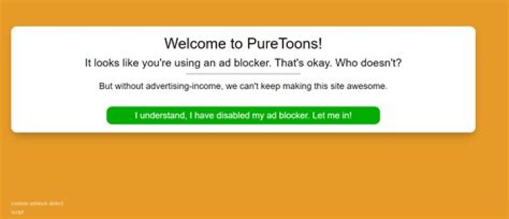 puretoons.me login safely, analysis & comments